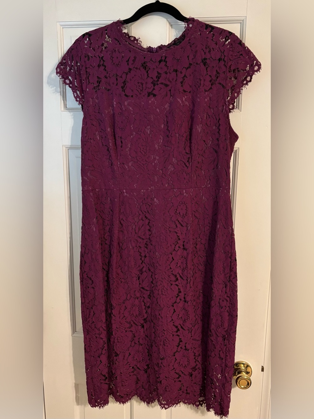 Women's Lace Midi Dress in Plum - Classic Feminine Design